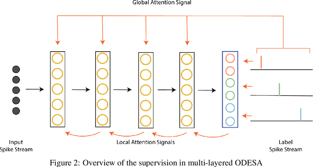 Figure 3 for An optimised deep spiking neural network architecture without gradients