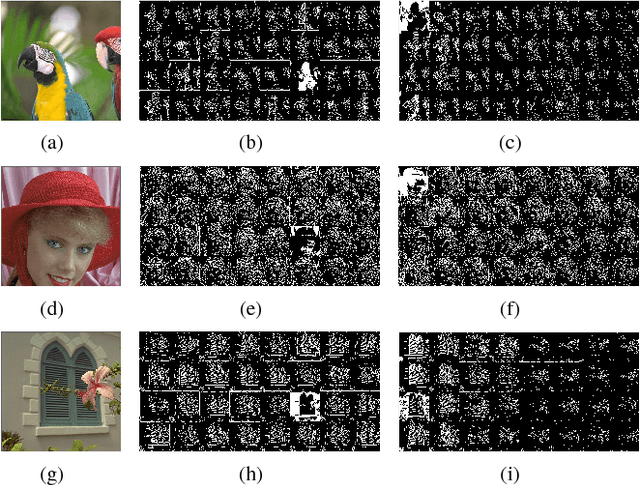 Figure 4 for Deep Convolutional AutoEncoder-based Lossy Image Compression