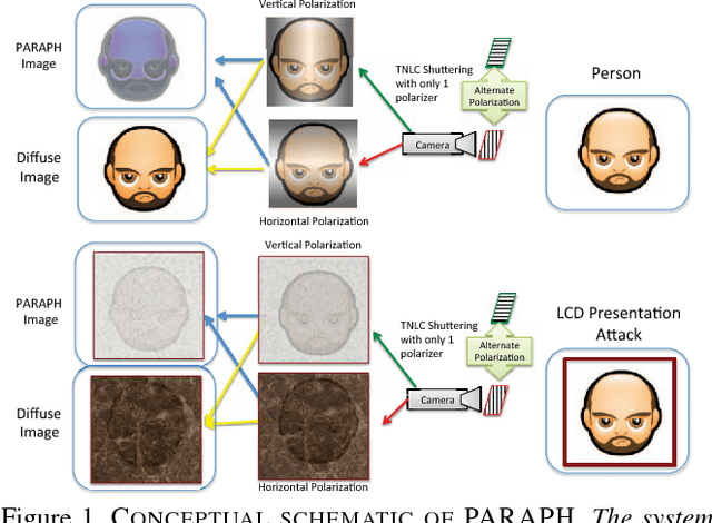 Figure 1 for PARAPH: Presentation Attack Rejection by Analyzing Polarization Hypotheses