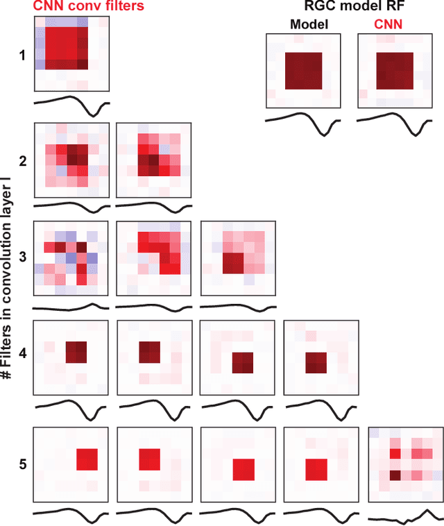 Figure 2 for Revealing Fine Structures of the Retinal Receptive Field by Deep Learning Networks