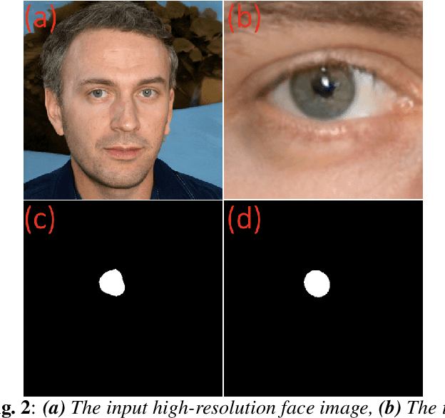 Figure 2 for Eyes Tell All: Irregular Pupil Shapes Reveal GAN-generated Faces