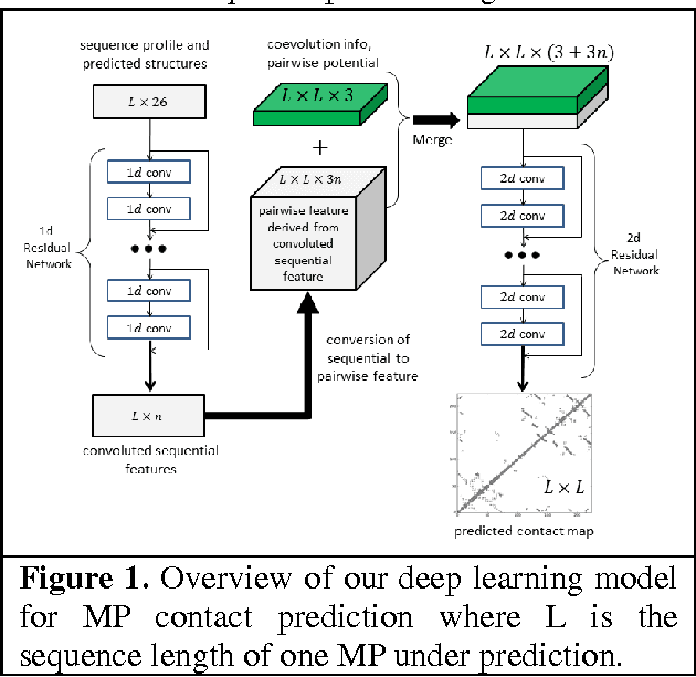 Figure 1 for Predicting membrane protein contacts from non-membrane proteins by deep transfer learning