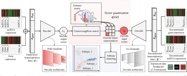 Figure 1 for Cancer Subtyping by Improved Transcriptomic Features Using Vector Quantized Variational Autoencoder