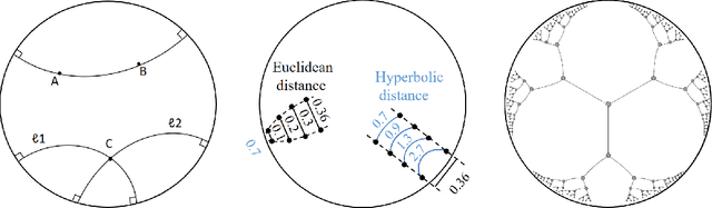 Figure 3 for Hyperbolic Deep Neural Networks: A Survey
