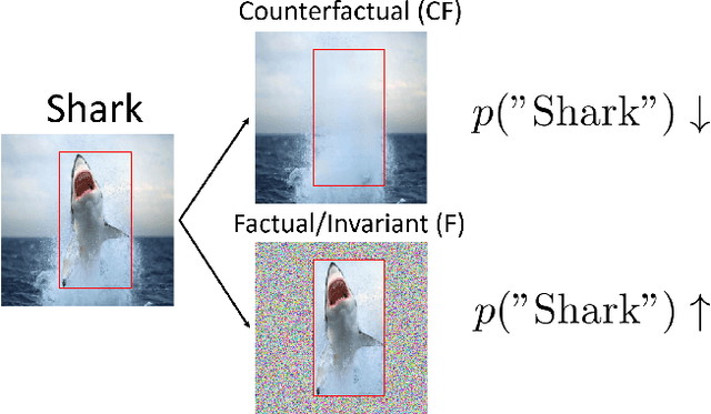 Figure 1 for Towards Robust Classification Model by Counterfactual and Invariant Data Generation