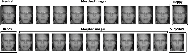 Figure 4 for Generating near-infrared facial expression datasets with dimensional affect labels