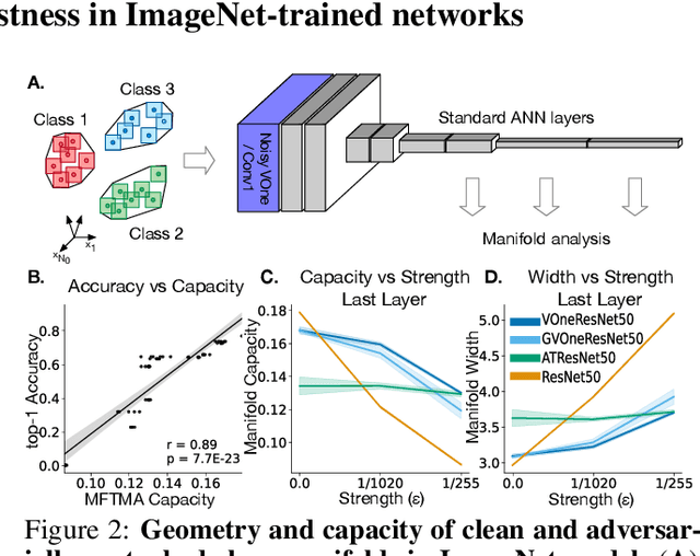 Figure 3 for Neural Population Geometry Reveals the Role of Stochasticity in Robust Perception