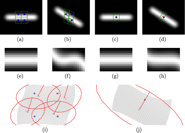 Figure 4 for Higher-order Spatial Accuracy in Diffeomorphic Image Registration