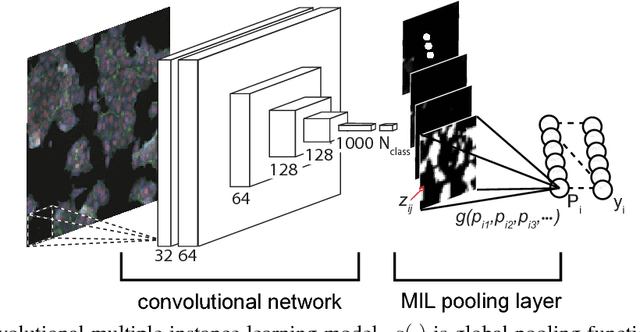 Figure 1 for Classifying and Segmenting Microscopy Images Using Convolutional Multiple Instance Learning
