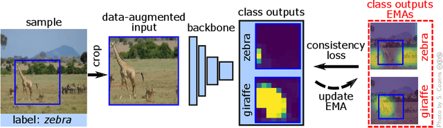 Figure 1 for Spatial Consistency Loss for Training Multi-Label Classifiers from Single-Label Annotations