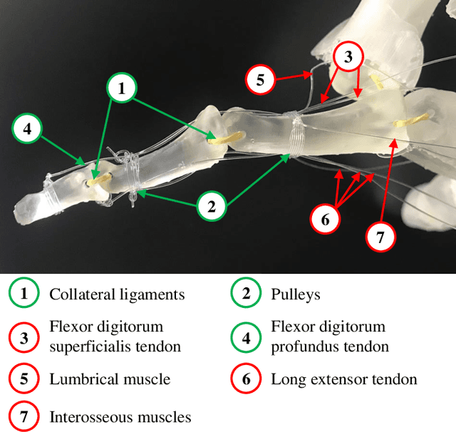 Figure 4 for Fast 3D Modeling of Anthropomorphic Robotic Hands Based on A Multi-layer Deformable Design