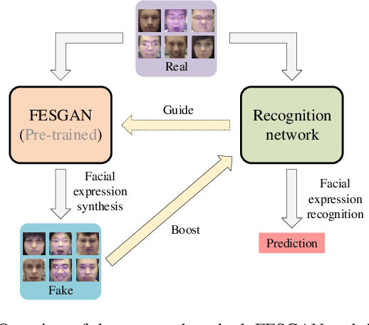 Figure 1 for Joint Deep Learning of Facial Expression Synthesis and Recognition