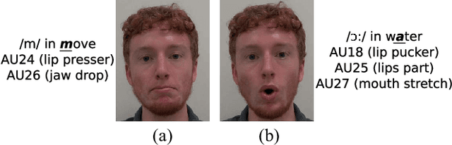 Figure 1 for Improving Speech Related Facial Action Unit Recognition by Audiovisual Information Fusion