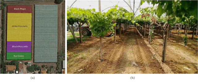 Figure 3 for Weakly and Semi-Supervised Detection, Segmentation and Tracking of Table Grapes with Limited and Noisy Data