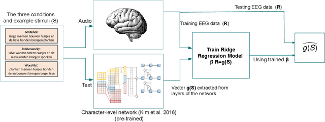 Figure 1 for From Language to Language-ish: How Brain-Like is an LSTM's Representation of Nonsensical Language Stimuli?