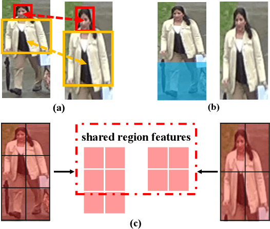 Figure 1 for Perceive Where to Focus: Learning Visibility-aware Part-level Features for Partial Person Re-identification