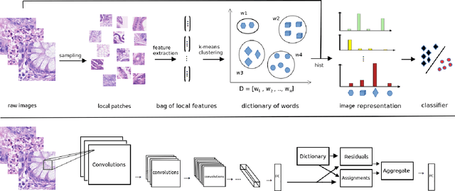 Figure 1 for Deep Multi-Resolution Dictionary Learning for Histopathology Image Analysis