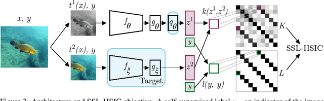 Figure 4 for Self-Supervised Learning with Kernel Dependence Maximization