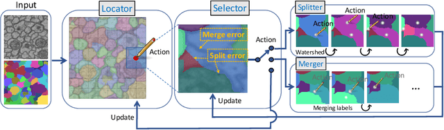 Figure 3 for RLCorrector: Reinforced Proofreading for Connectomics Image Segmentation