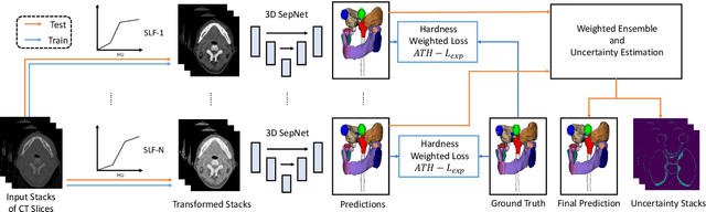 Figure 3 for Automatic Segmentation of Organs-at-Risk from Head-and-Neck CT using Separable Convolutional Neural Network with Hard-Region-Weighted Loss