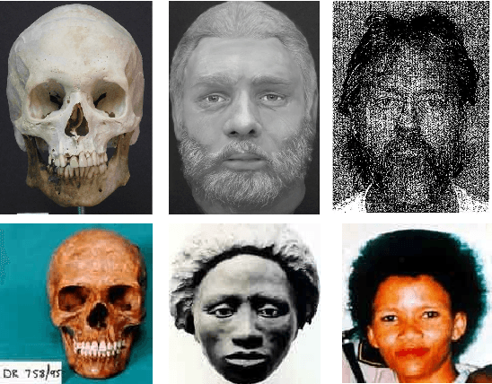 Figure 3 for On Matching Skulls to Digital Face Images: A Preliminary Approach