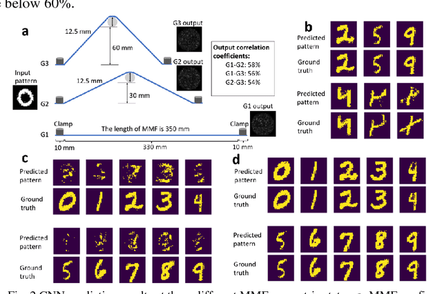 Figure 2 for Deep learning the high variability and randomness inside multimode fibres