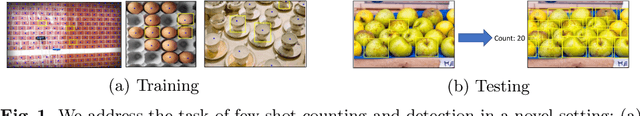 Figure 1 for Few-shot Object Counting and Detection