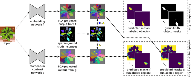 Figure 3 for Sparse Object-level Supervision for Instance Segmentation with Pixel Embeddings