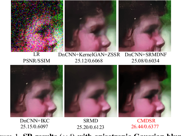 Figure 1 for Conditional Meta-Network for Blind Super-Resolution with Multiple Degradations