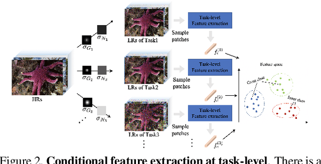 Figure 3 for Conditional Meta-Network for Blind Super-Resolution with Multiple Degradations