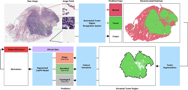 Figure 1 for Discovering Clinically Meaningful Shape Features for the Analysis of Tumor Pathology Images