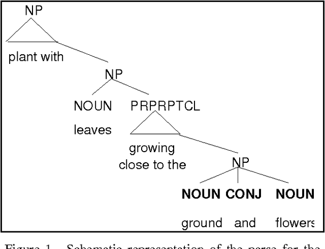 Figure 1 for Ambiguity in the Acquisition of Lexical Information