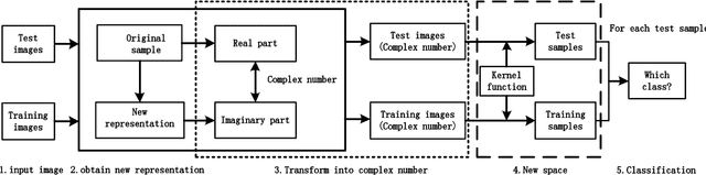 Figure 1 for ComplexFace: a Multi-Representation Approach for Image Classification with Small Dataset