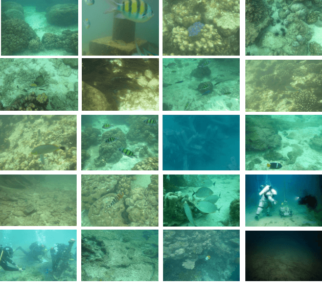 Figure 2 for Deep Underwater Image Enhancement