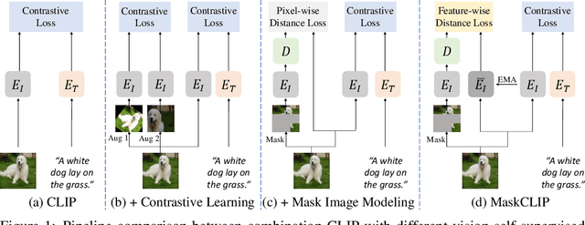 Figure 1 for MaskCLIP: Masked Self-Distillation Advances Contrastive Language-Image Pretraining