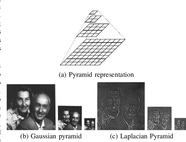 Figure 1 for Data Augmentation for Histopathological Images Based on Gaussian-Laplacian Pyramid Blending