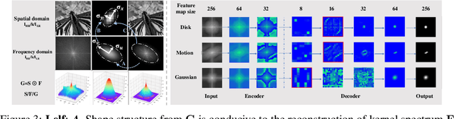 Figure 4 for Spectrum-to-Kernel Translation for Accurate Blind Image Super-Resolution