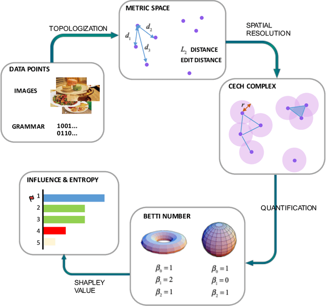 Figure 1 for Shapley Homology: Topological Analysis of Sample Influence for Neural Networks