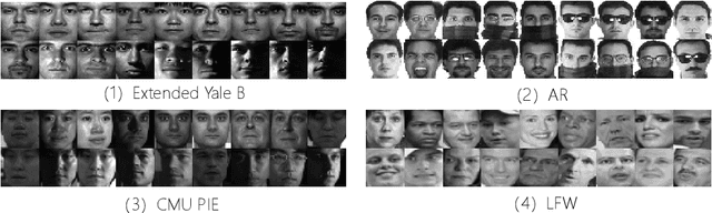 Figure 3 for Low-Rank Discriminative Least Squares Regression for Image Classification