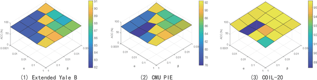 Figure 4 for Low-Rank Discriminative Least Squares Regression for Image Classification