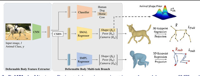Figure 3 for Unified 3D Mesh Recovery of Humans and Animals by Learning Animal Exercise