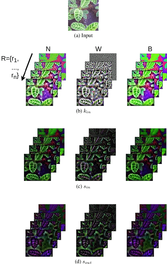 Figure 3 for Spatio-spectral networks for color-texture analysis