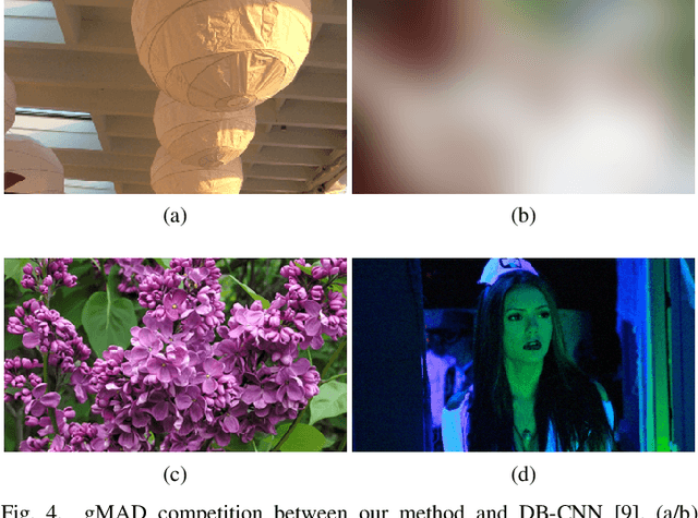 Figure 4 for Learning to Blindly Assess Image Quality in the Laboratory and Wild