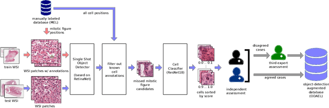 Figure 3 for Dogs as Model for Human Breast Cancer: A Completely Annotated Whole Slide Image Dataset