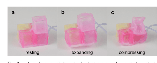 Figure 1 for Scalable sim-to-real transfer of soft robot designs