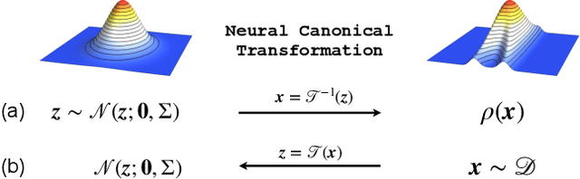 Figure 1 for Neural Canonical Transformation with Symplectic Flows