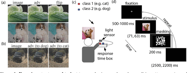 Figure 2 for Adversarial Examples that Fool both Computer Vision and Time-Limited Humans