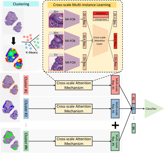 Figure 3 for Cross-scale Attention Guided Multi-instance Learning for Crohn's Disease Diagnosis with Pathological Images