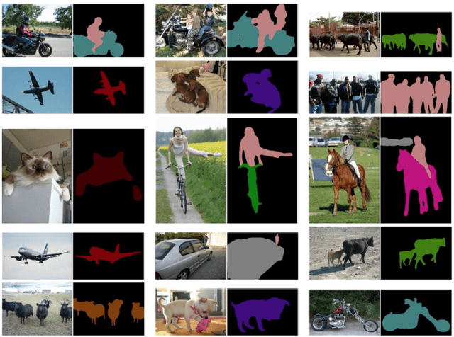 Figure 1 for Image Segmentation Using Deep Learning: A Survey
