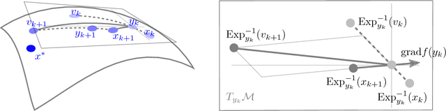 Figure 1 for Towards Riemannian Accelerated Gradient Methods
